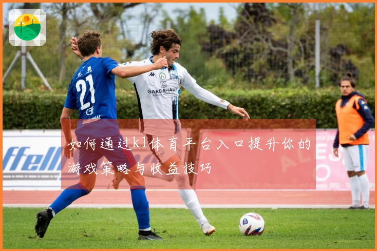 如何通过k1体育平台入口提升你的游戏策略与收益技巧