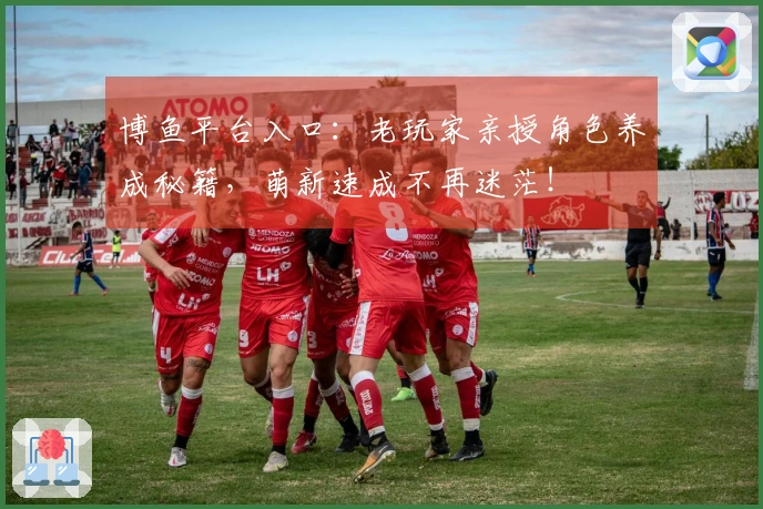 博鱼平台入口：老玩家亲授角色养成秘籍，萌新速成不再迷茫！