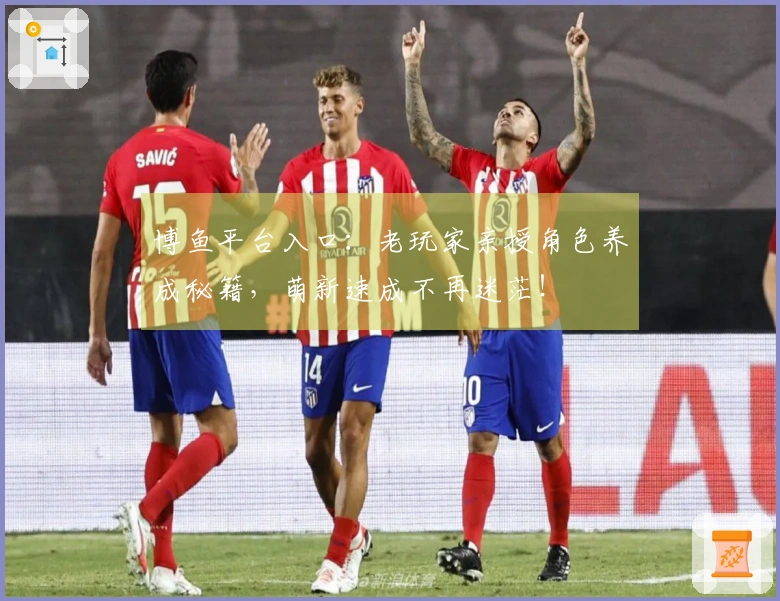 博鱼平台入口：老玩家亲授角色养成秘籍，萌新速成不再迷茫！